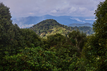Obraz premium View on beautiful fog mountains in mist landscape. Travel background.
