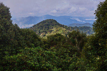 Amazing mountains with tropical fauna,  green bushes and trees.