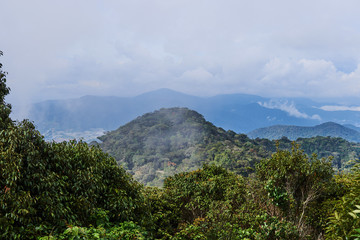 Amazing mountain landscape with fog. Summer mountains green grass and blue sky. Tropical forest landscape with mountain..
