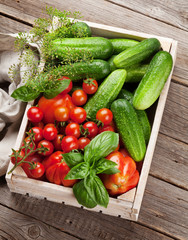 Fresh garden tomatoes and cucumbers