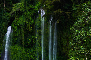 Tropical exotic. Traveling and adventure concept. Beautiful rain forest jungle. Rainforest with waterfall. River with stones in deep, lush green jungle. Natural landscape. Falling water with splash.