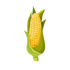 Corn yellow flat icon food natural illustration organic logo vector
