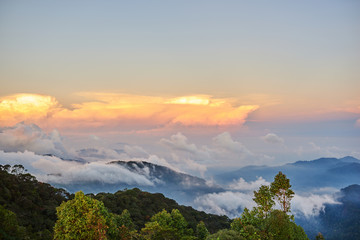 Colorful clouds of mist hovering low between green trees in the  forest early morning.        .Summer landscape. Fluffy  clouds in the blue sky over the mountain valley illuminated by the rising sun..