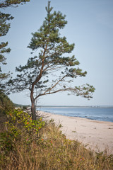 Fototapeta na wymiar Wybrzeże Bałtyku