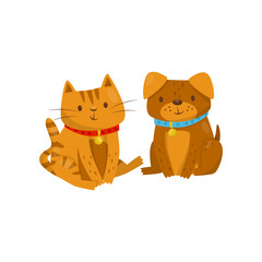 Funny dog and cat sitting together, cute domestic pet animals cartoon characters, best friends vector Illustration on a white background