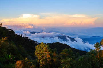 Landscape with peaks covered by fog and colorful clouds hovering low over green treetops in the early morning. Fluffy clouds in the blue sky over the mountain valley illuminated by the rising sun.