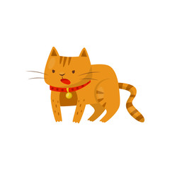 Funny angry cat, cute domestic pet animal cartoon character vector Illustration on a white background