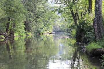Fototapeta na wymiar Creek