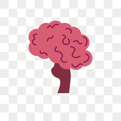 Brain vector icon isolated on transparent background, Brain logo design