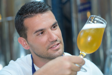 brewer holding a glass of pint beer