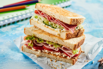 Fresh sandwiches with ham, cheese and salad