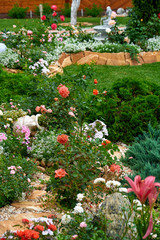 Landscape design. Flowers garden. Flowers in the garden after rain. Flowers macro. The care of garden plants