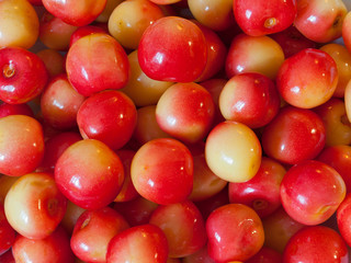 Cherries are red-yellow. _ Черешни красно-жёлтые.