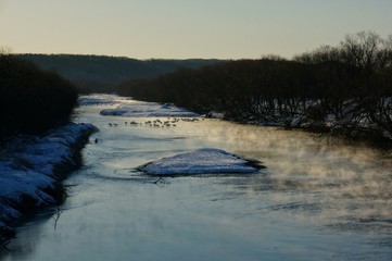 Cranes in Cold River