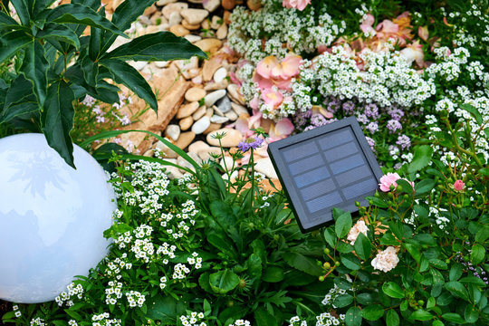 Garden Design. Solar Garden Light. Lanterns In Flower Bed In Green Foliage. Solar Powered Lamps