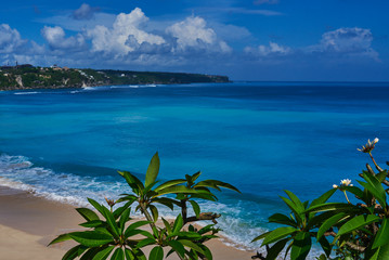 Fototapeta na wymiar Tropical plants with blue sea in the background. View of nice tropical sand beach. Blurred emerald sea with wave. Abstract background. Travel, vacation concept. Paradise blue seascape. Beauty world.