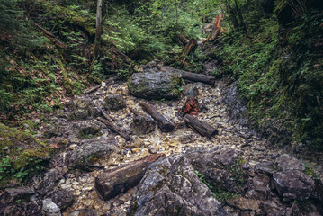 Rocks in Monastery Gorge in Slovak Paradise mountain range in Slovakia