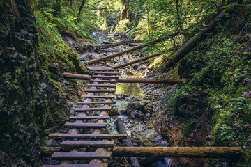 Ladder on Sucha Bela hiking trail in park called Slovak Paradise, Slovakia
