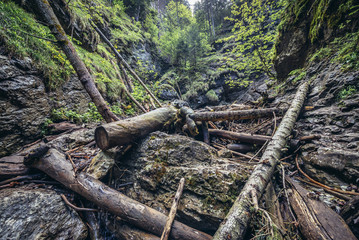 Sucha Bela hiking trail in park called Slovak Paradise, Slovakia