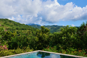 Luxury holiday. Infinity pool. Lifestyle and relaxation. Beautiful swimming pool in the amazing garden. Banner design for luxury vacation. Green lush plants and blue sky. Summer holiday concept.