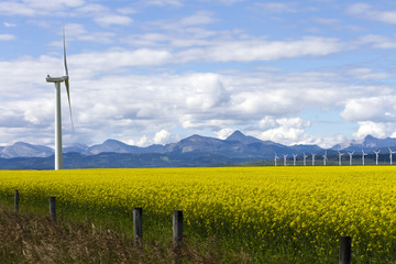Wind Turbine Renewable Energy