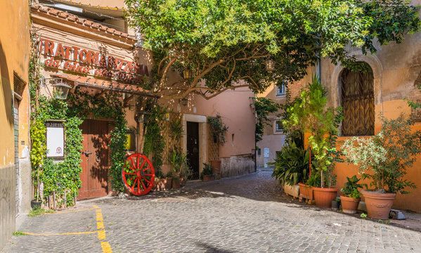 Fototapeta The pictiresque Rione Trastevere on a summer morning, in Rome, Italy.