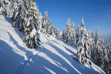 Winter landscape with footpath in the snow