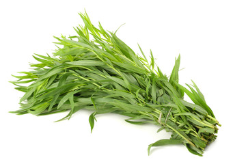 Tarragon leaves ( Artemisia dracunculus ) isolated on white background