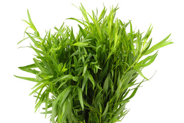 Tarragon leaves ( Artemisia dracunculus ) isolated on white background