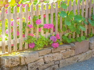 Natursteinmauer, Holzzaun und Hortensien im Bauerngarten