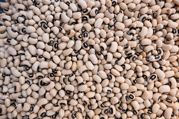 Fresh white bean stand at a street organic food market.