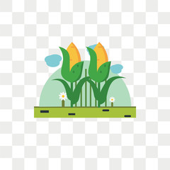 Corn vector icon isolated on transparent background, Corn logo design