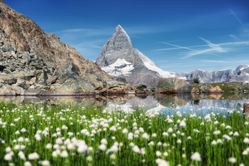 Matterhorn and and grass near lake at the morning time. Beautiful natural landscape in the Switzerland. Mountains landscape at the summer time