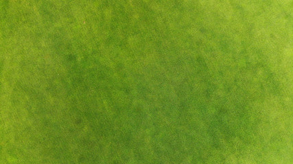 Green grass texture background top view