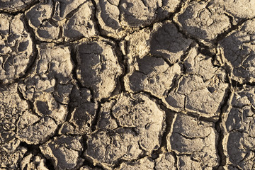 Dry cracked earth, lack of water, closeup of dry soil.