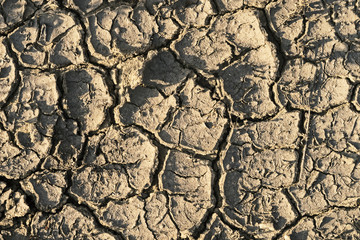 Dry cracked earth, lack of water, closeup of dry soil.