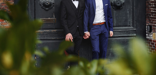 Gay couple holding hands