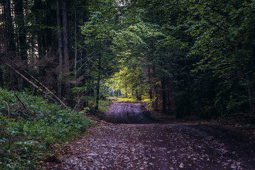 Path in park called Slovak Paradise, famous tourist attraction in Slovakia