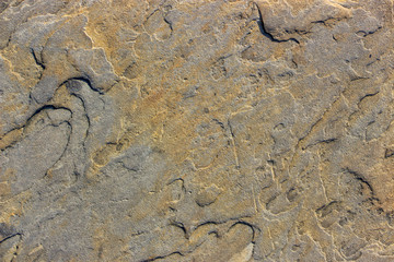 Stone background texture background natural stone close-up