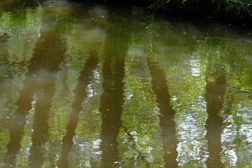 Bremen-Schönebeck im Mai