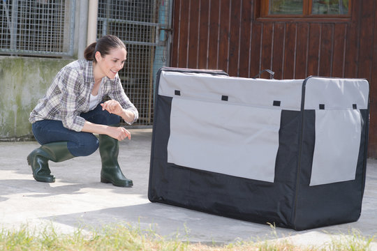 pretty kennel vetenary checking crate for animal transportation