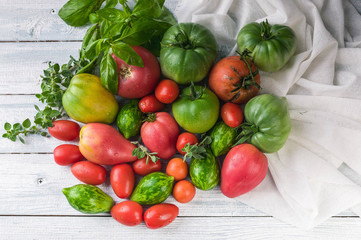 Fresh red and green tomatoes, basil and marjoram on a light wooden background. Autumn Harvest Concept. Top view