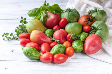 Fresh red and green tomatoes, basil and marjoram on a light wooden background. Autumn Harvest Concept