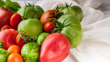 Fresh red and green tomatoes, basil and marjoram on a light wooden background. Autumn Harvest Concept. Close up