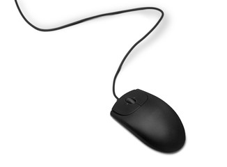Computer Mouse
