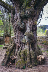 Statue and old tree in castle park in Vizovice, small town in historical Moravian region of Czech Republic