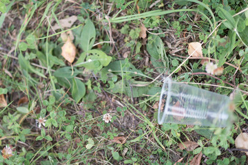 plastic cup on the grass