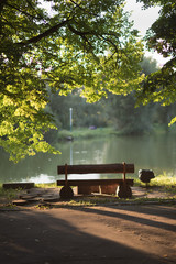 Bench on the bank of the river in summer day