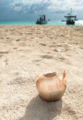 Opened coconut on white sand on the beach Zanzibar Tanzania
