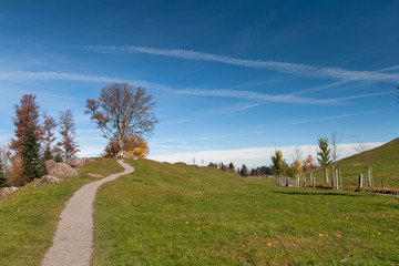 Landscape with Green meadows above Lake Lucerne, near mount Rigi, Alps, Switzerland